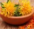 Cosmetics with safflower oil